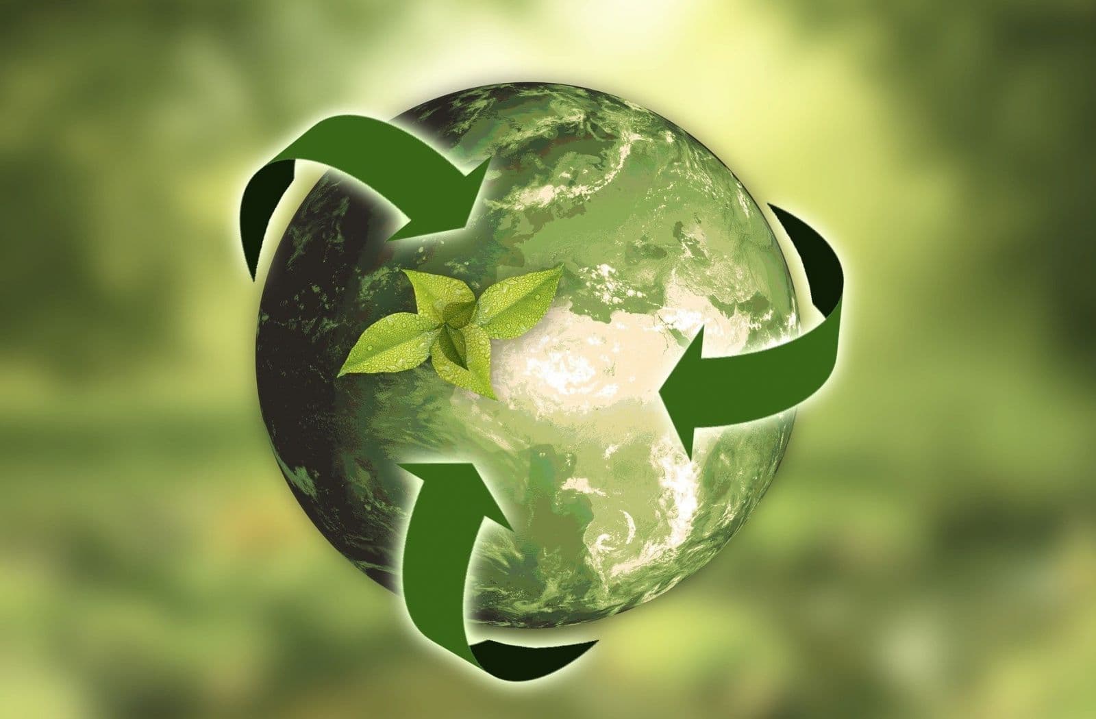 Matériaux durables et peintures écologiques